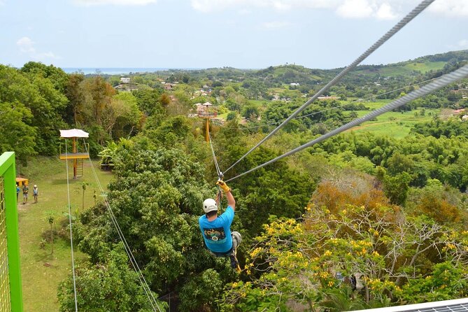 Rainforest Zipline in Foothills of the National Rainforest - Key points at a glance