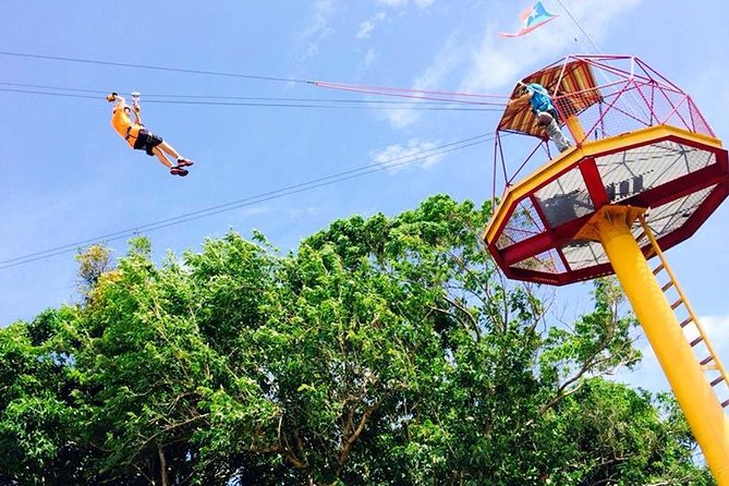 Rainforest Zipline in Foothills of the National Rainforest - Eight lines that build toward a fast finish
