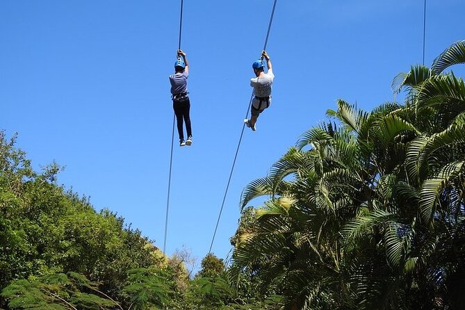 Rainforest Zipline in Foothills of the National Rainforest - Who will enjoy this course most