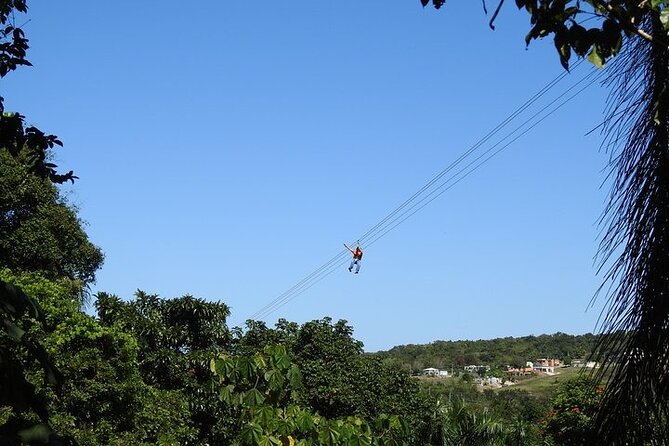 Rainforest Zipline in Foothills of the National Rainforest - Timing, arrival, and weather