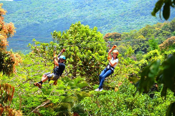 Rainforest Zipline in Foothills of the National Rainforest - Safety limits you need to know