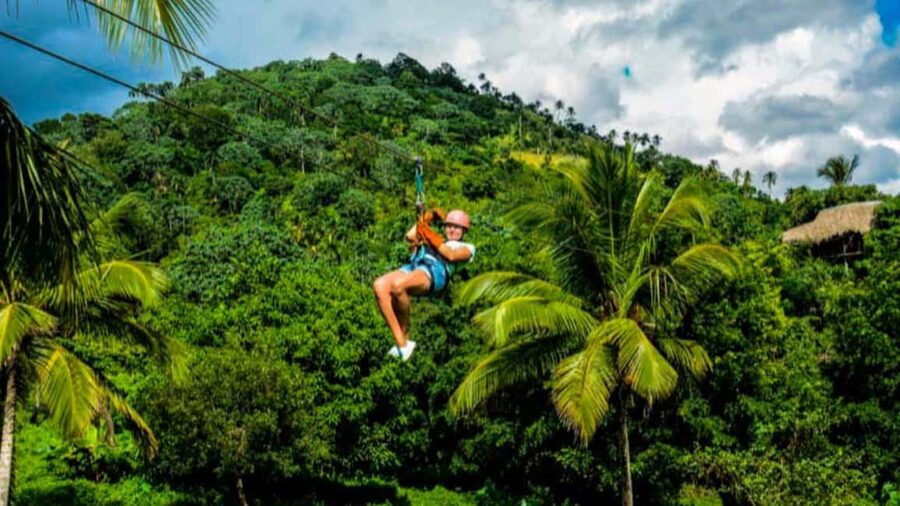 Rainforest Ziplining Adventure - Key points at a glance