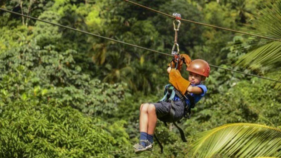 Rainforest Ziplining Adventure - Should you book it?