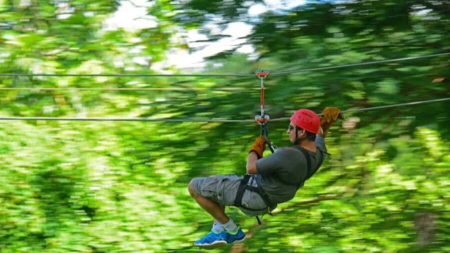 Rainforest Ziplining Adventure - What the eight rides feel like