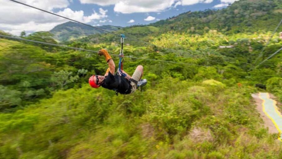 Rainforest Ziplining Adventure - Is $80 a fair price?