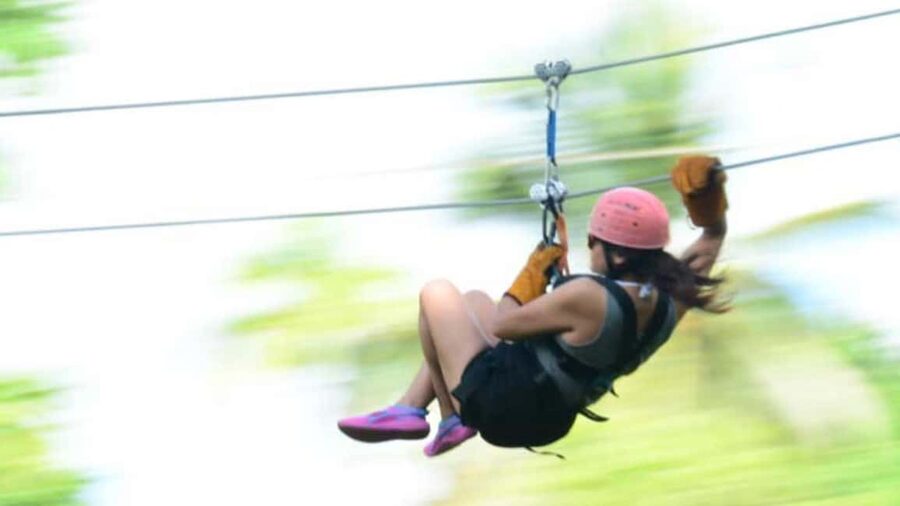 Rainforest Ziplining Adventure - Practical timing and booking details