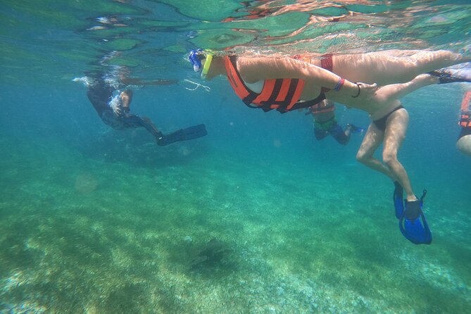 Reef Snorkeling with ATV, Zipline, Cenote that includes lunch and transportation - Why this Cancun day trip packs in so much