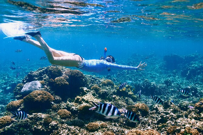 Reef Snorkeling with ATV, Zipline, Cenote that includes lunch and transportation - A short Puerto Morelos pause and the food question