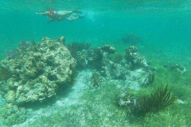 Reef Snorkeling with ATV, Zipline, Cenote that includes lunch and transportation - ATV riding on the 45-minute jungle circuit