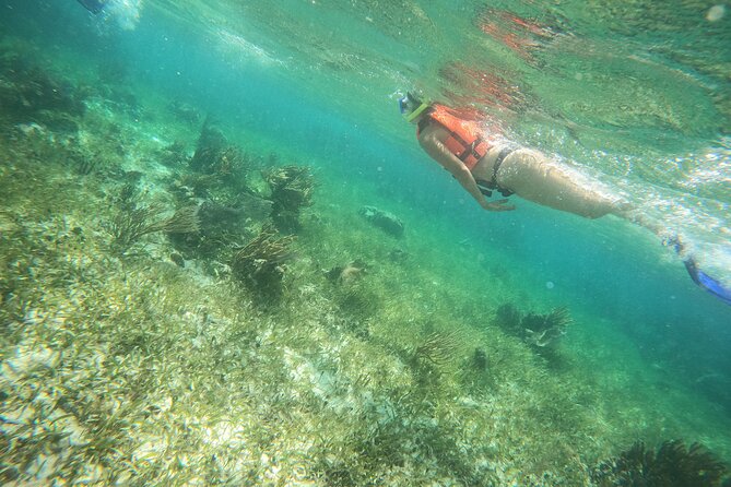 Reef Snorkeling with ATV, Zipline, Cenote that includes lunch and transportation - Swimming in the cenote and jumping from the platform