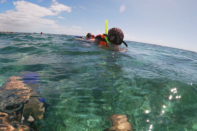 Reef Snorkeling with ATV, Zipline, Cenote that includes lunch and transportation - Puerto Morelos reef snorkeling by boat
