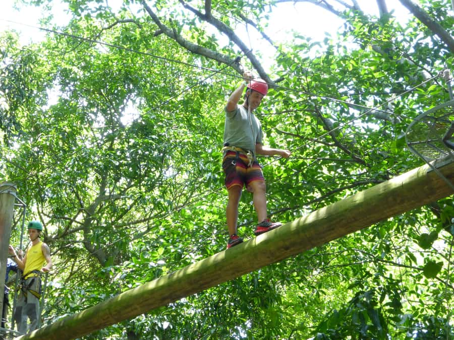 Rio de Janeiro: Zip Lining and Canopy Tree Tour - The 30-minute zip line is the payoff