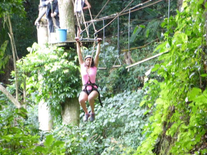 Rio de Janeiro: Zip Lining and Canopy Tree Tour - What to bring for a smoother outing