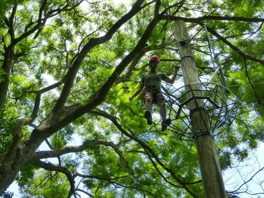 Rio de Janeiro: Zip Lining and Canopy Tree Tour - Who will enjoy this Catacumba tour most