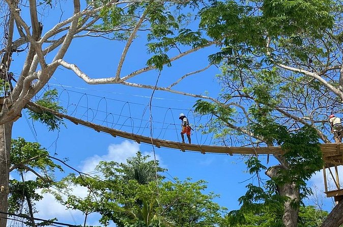 Rio Nuevo Village Ziplining - Price, group size, and overall value