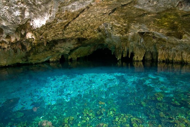 Rio Secreto Plus: Classic Tour, Bycicle, Rappel & Ziplines - Key points to know before you book