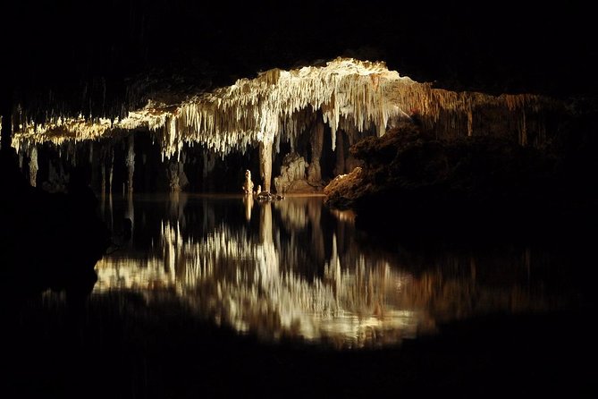 Rio Secreto Plus: Classic Tour, Bycicle, Rappel & Ziplines - The Plus activities: bike, rappel, and zipline