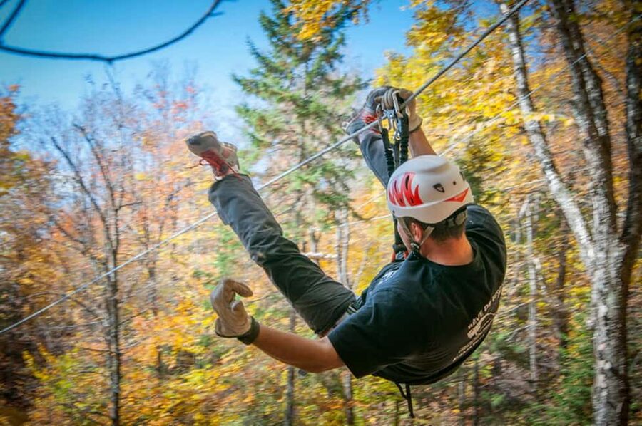 River Ziplines - Nature Tours - What the two-hour outing is likely to feel like
