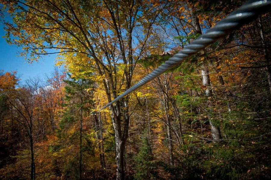 River Ziplines - Nature Tours - Family rules, height limits, and physical demands