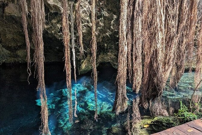 Riviera Maya Half Day Casa Jaguar Cenote, Zipline and ATV - Snacks, photos, and what you need to budget