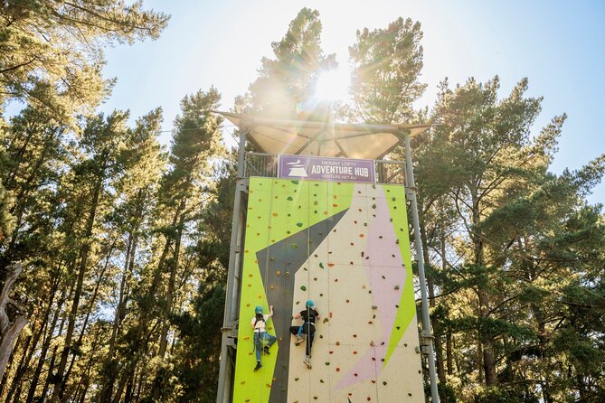 Rock Climb, Zipline and Mega Swing Experience - Key points at a glance