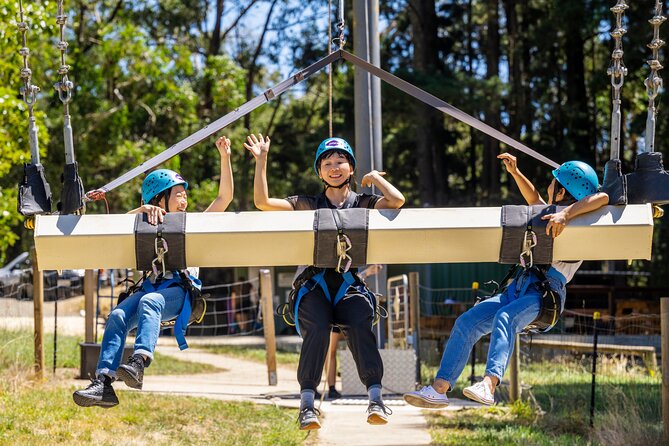 Rock Climb, Zipline and Mega Swing Experience - What happens at the Piccadilly adventure site
