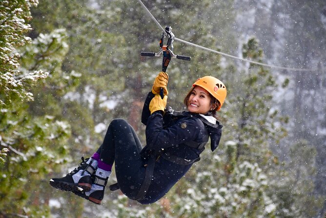 Rocky Mountain 4-Zipline Adventure on CO Longest and Fastest! - Who should book this course