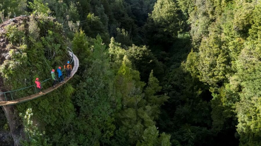 Rotorua: 6 Ziplines, 400m Tandem, Cliff Walk & Swing Bridges - Key points to know before you book