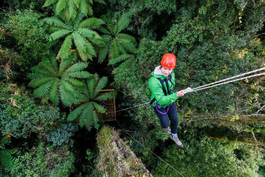 Rotorua: 6 Ziplines, 400m Tandem, Cliff Walk & Swing Bridges - Who will enjoy this most?