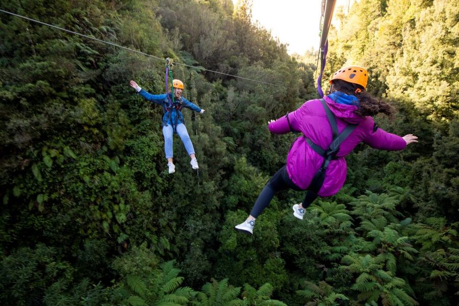 Rotorua: 6 Ziplines, 400m Tandem, Cliff Walk & Swing Bridges - Starting at Fairy Springs and heading into the forest