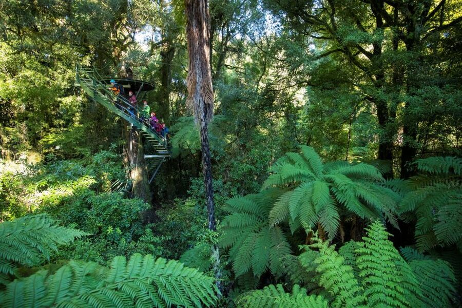 Rotorua: 6 Ziplines, 400m Tandem, Cliff Walk & Swing Bridges - The volcanic cliff walk brings a different kind of thrill