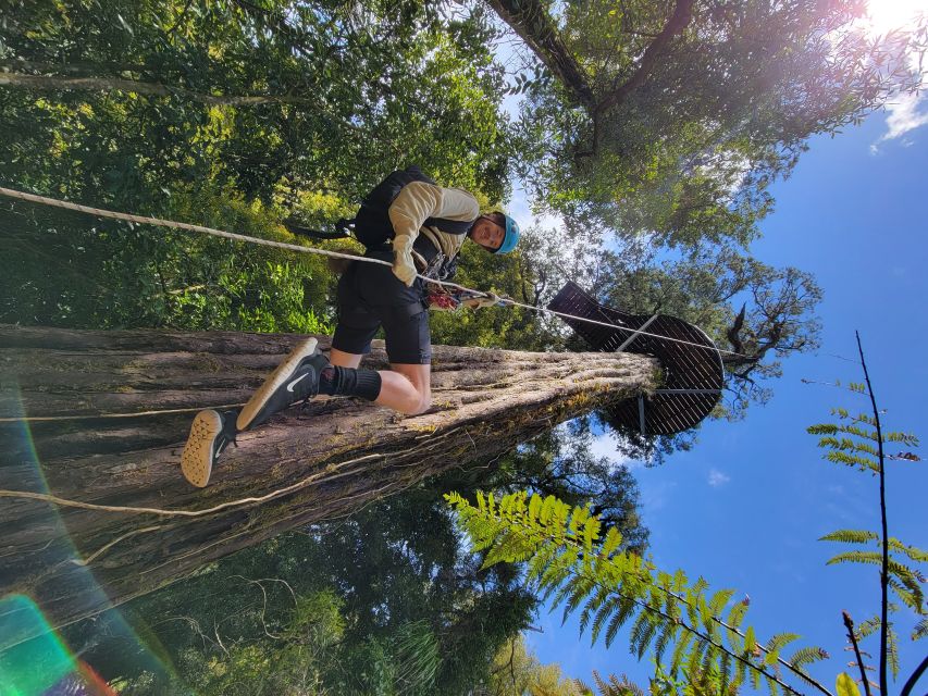 Rotorua: 6 Ziplines, 400m Tandem, Cliff Walk & Swing Bridges - The controlled descent finishes the course with a jolt