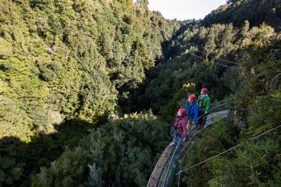 Rotorua: 6 Ziplines, 400m Tandem, Cliff Walk & Swing Bridges - Guides, forest stories, and conservation work