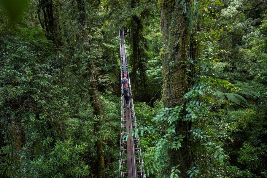 Rotorua: 6 Ziplines, 400m Tandem, Cliff Walk & Swing Bridges - Weather, clothing, and physical demands