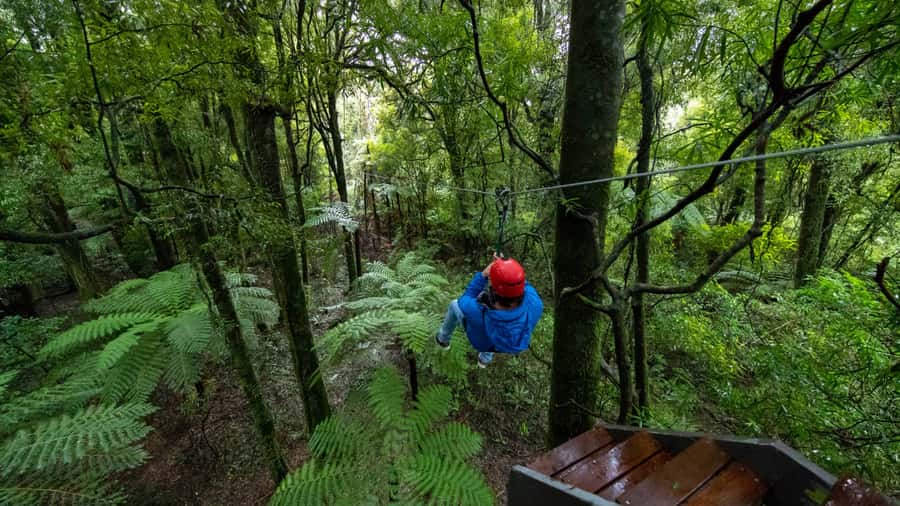 Rotorua: 6 Ziplines, Swing-Bridges & Wildlife Encounters - Tips for making the day easier