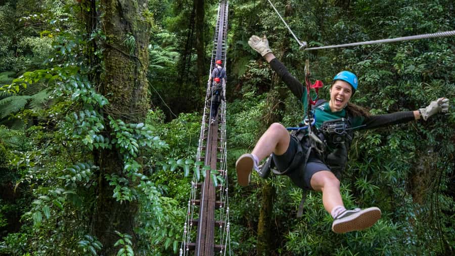Rotorua: 6 Ziplines, Swing-Bridges & Wildlife Encounters - A clear itinerary from Fairy Springs Road