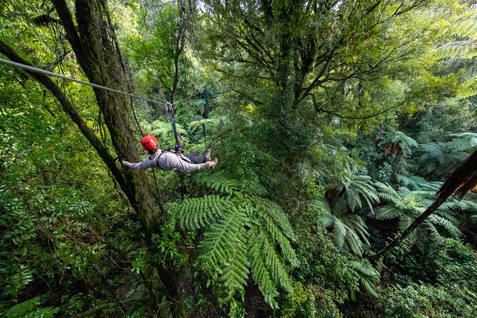 Rotorua Canopy Tours: 2.5Hour Native Forest Zipline Adventure - The Rotorua Canopy Tours base and forest transfer
