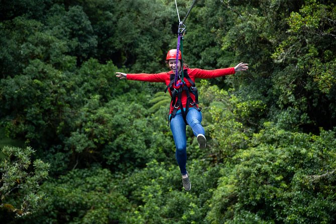 Rotorua Canopy Tours: 2.5Hour Native Forest Zipline Adventure - The zipline route and high bridges