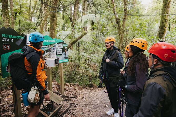 Rotorua Canopy Tours: 2.5Hour Native Forest Zipline Adventure - A nature lesson with real conservation value