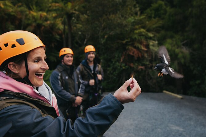 Rotorua Canopy Tours: 2.5Hour Native Forest Zipline Adventure - How the guides shape the day