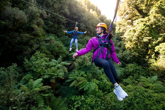 Rotorua’s Ultimate Zipline: 6 ziplines, 400 m Tandem, Cliff Walk - Who will enjoy the Ultimate tour most?