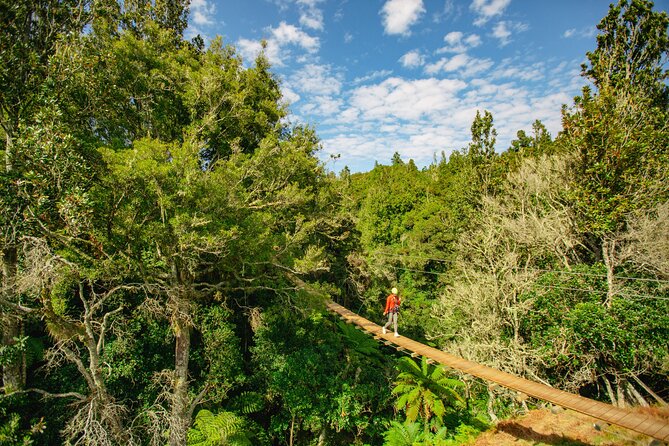 Rotorua Ziplines - Okere Falls Experience - Is $104.88 good value for two and a half hours?