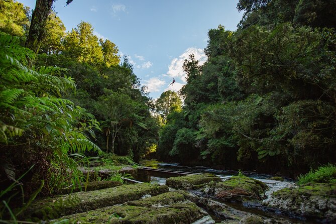 Rotorua Ziplines - Okere Falls Experience - Who will enjoy this most?