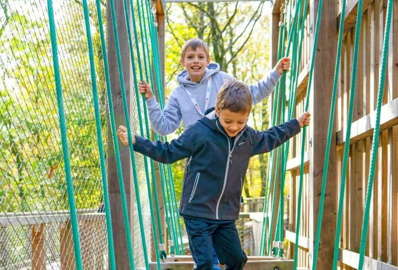 Saarland: Treetop Walk Saarschleife & Lookout Tower - Key points to know before you go
