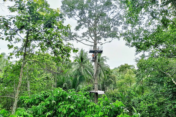 Samui Zipline Explore and Connect with Nature - Key points to know before booking