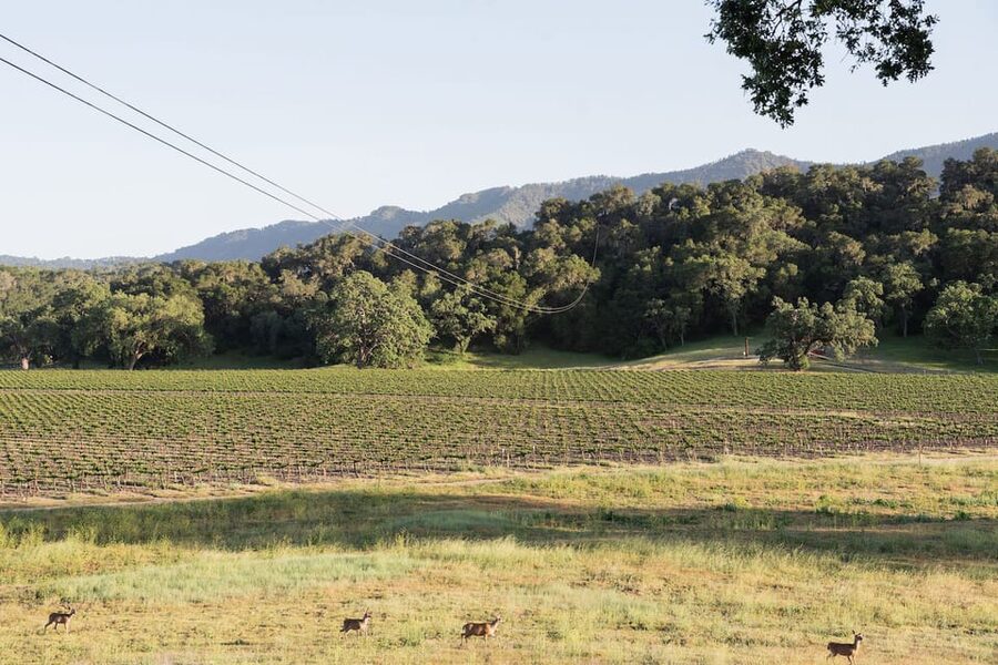 Santa Margarita: 6-Zipline Course Sunset Experience Ticket - Is $129 a Fair Price?