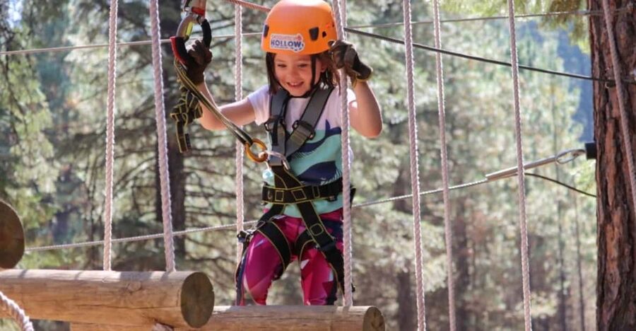 Sasquatch Hollow: Kids' Zipline Adventure - Why the Koala system matters for young adventurers