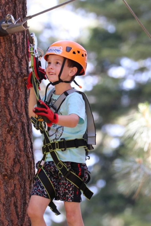Sasquatch Hollow: Kids' Zipline Adventure - Four ziplines with a feeling of progress