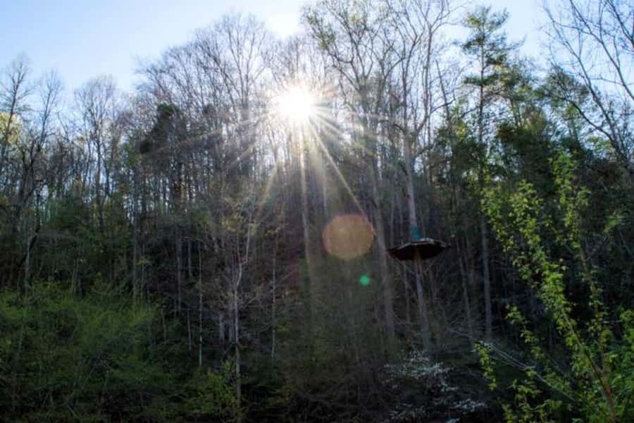 Sevierville: Extreme Mountain Zip Lining Adventure - The fastest and highest section