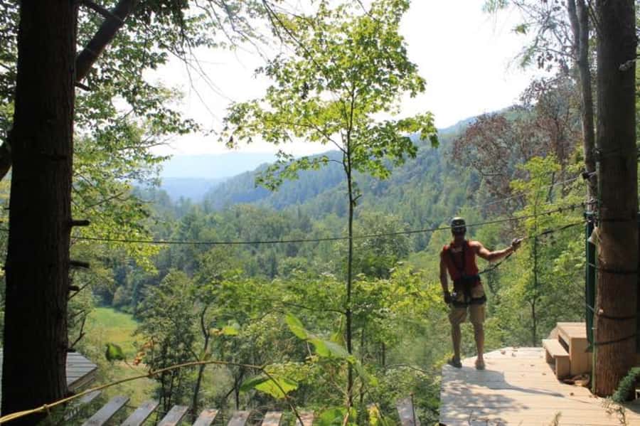 Sevierville: Waterfall Canopy Zip Lining in Smoky Mountains - Seven lines across creeks, waterfalls, and cliffs
